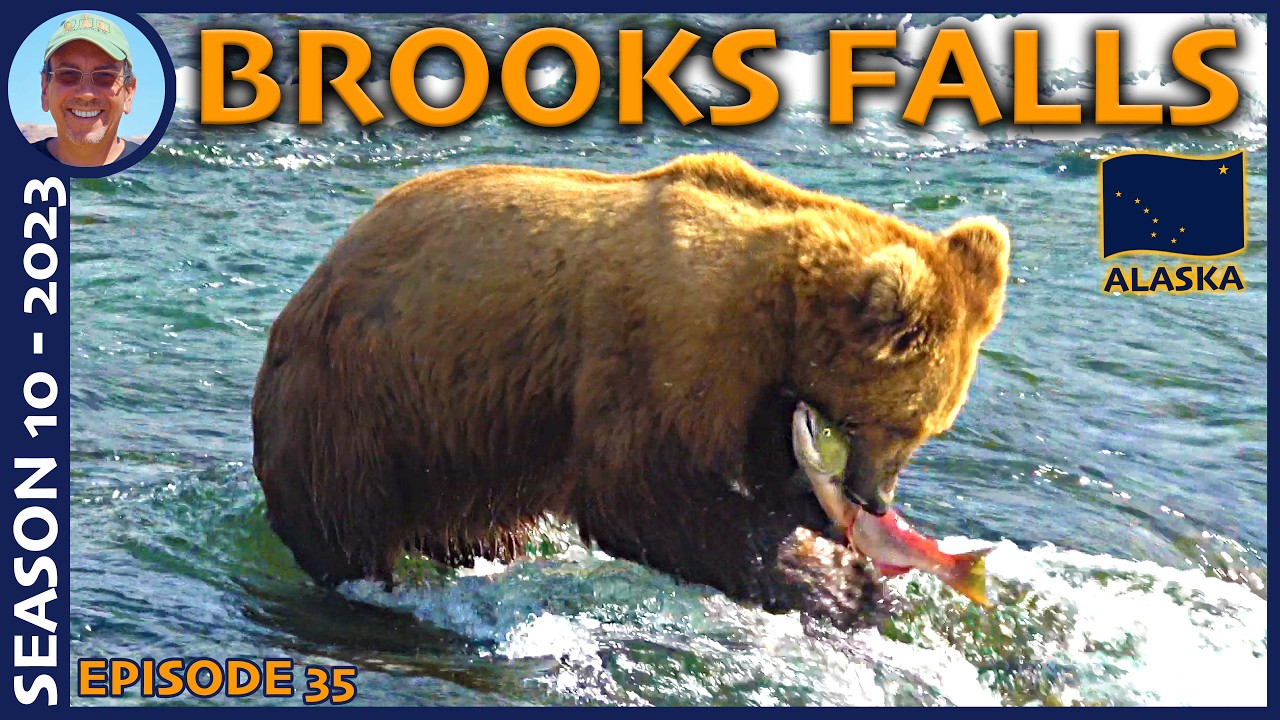 The Ultimate Wildlife Adventure: Floatplane to Brooks Falls -  Season 10 (2023) Episode 35