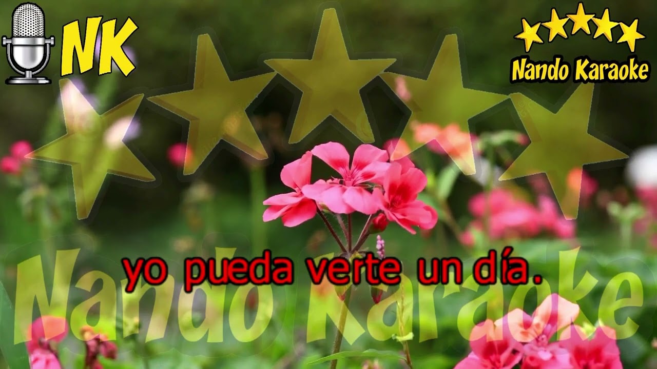 SENTADO A LA VERA DEL CAMINO - Roberto Carlos & Eydie Gorme Karaoke