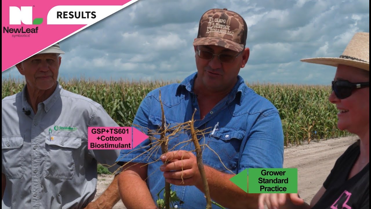 Ep. 8: Cotton Results at Alan and Lisa Stasney JV Farm