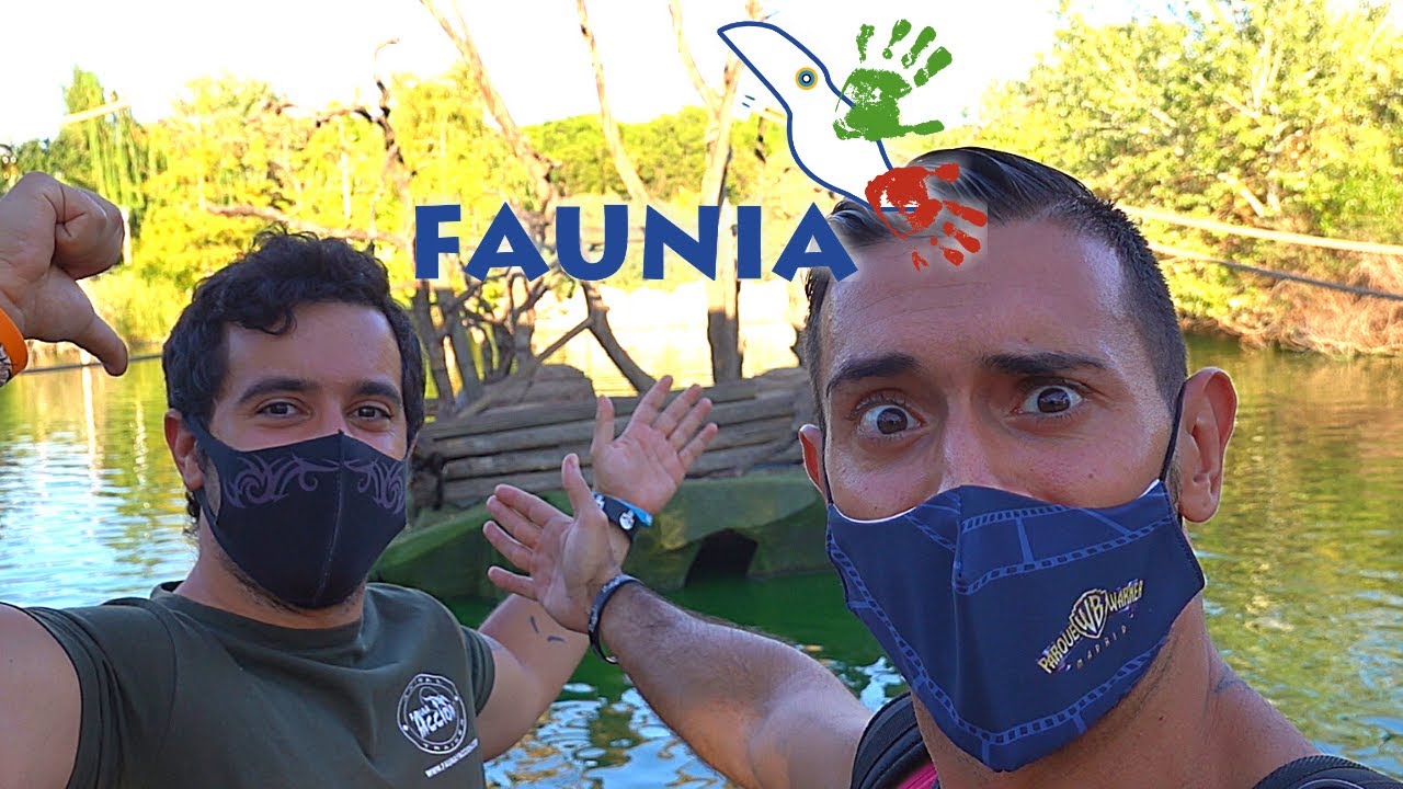 FAUNIA | Misterios bajo tierra, Pingüinos y Animales nocturnos (2) | Madrid