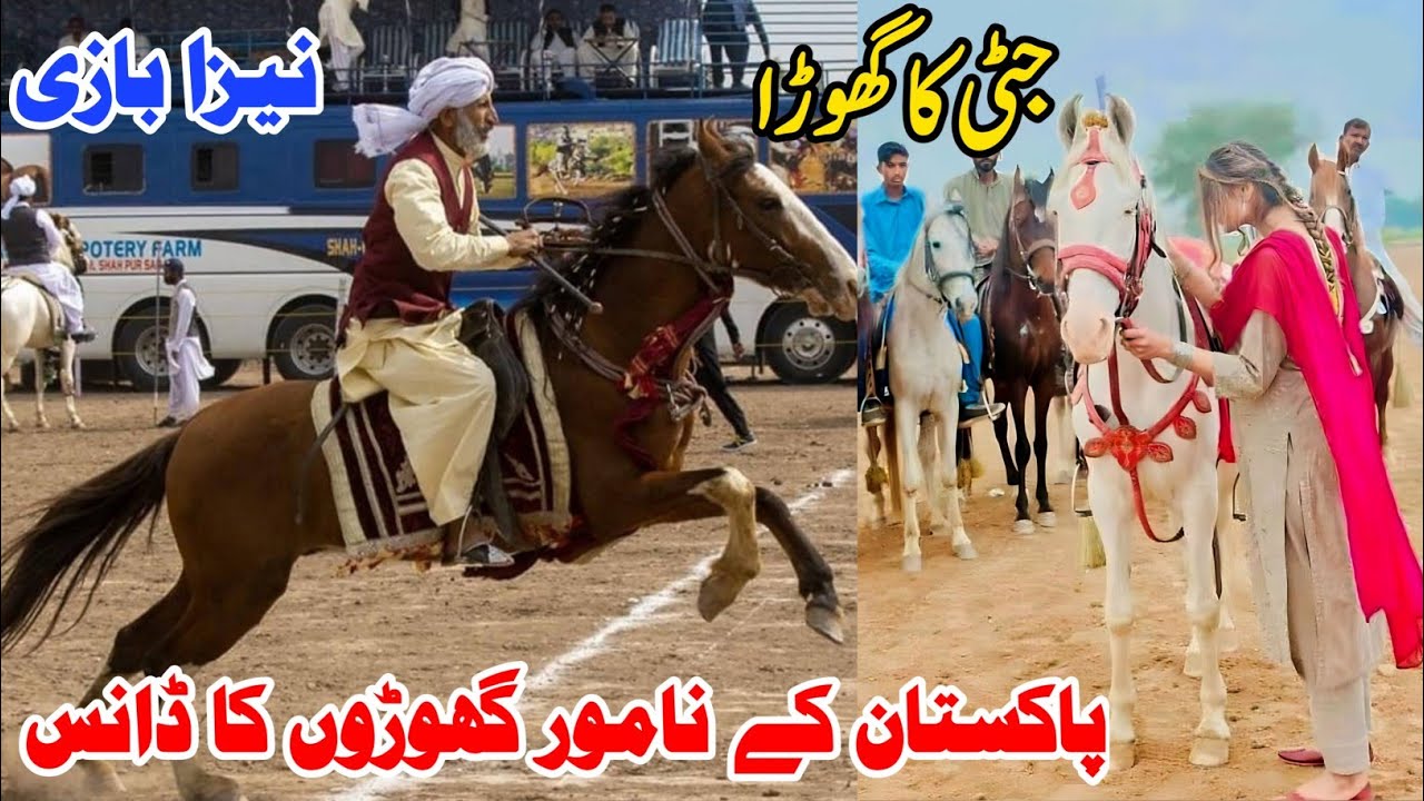 Top Class Dancer Horse | Naze Baz Horse In Punjab | Punjab Level Horse Dance | Pk Horse Mandi