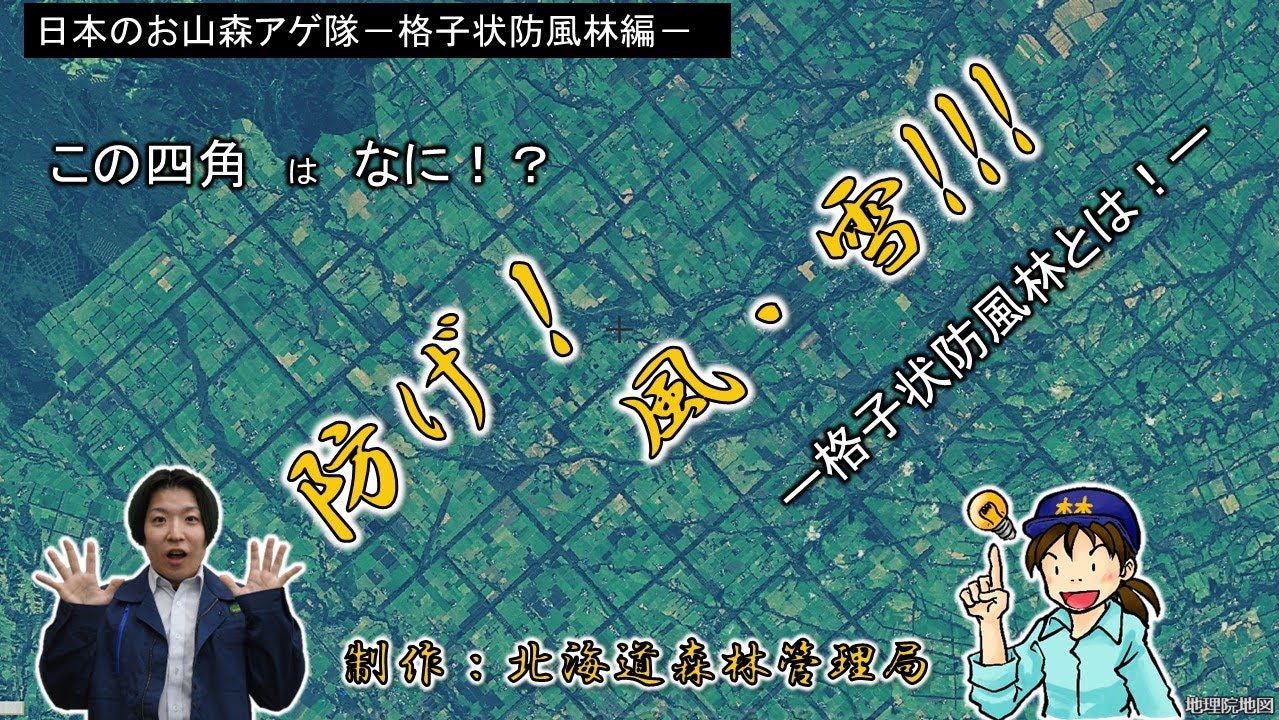 「日本のお山森アゲ隊_格子状防風林編 」