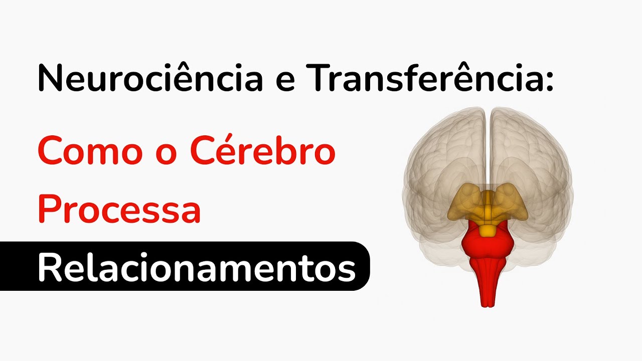 Neurociência Afetiva e Relacionamentos