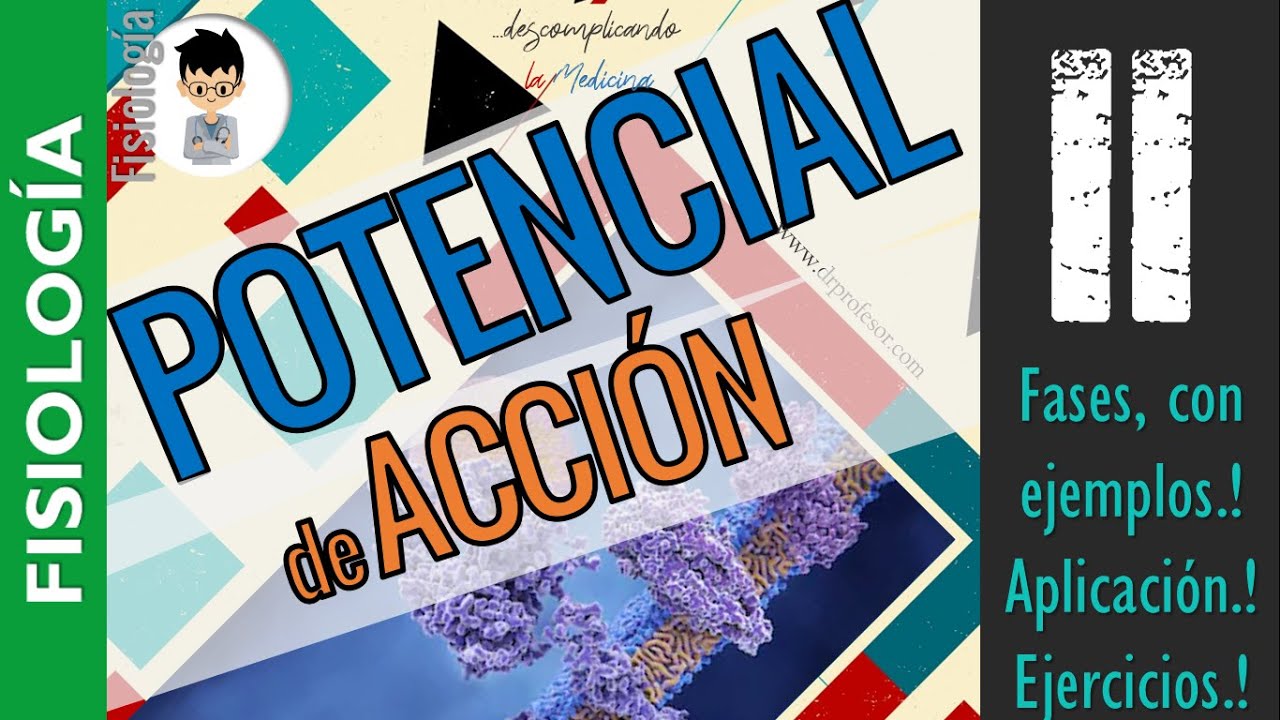 POTENCIAL DE ACCIÓN y potencia de Membrana, Ecuación NERNTS, aplicación,  ELECTRO-FISIOLOGÍA|P2