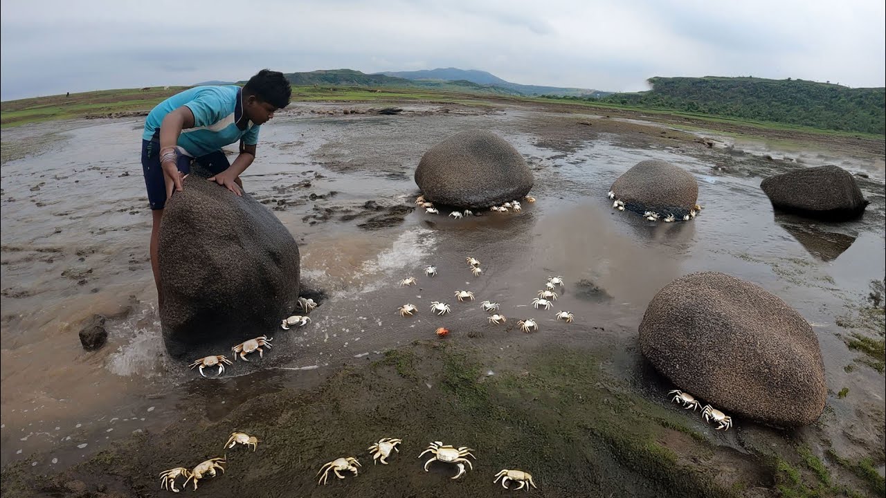 डोंगरात पकडले भटुरे खेकडे 
