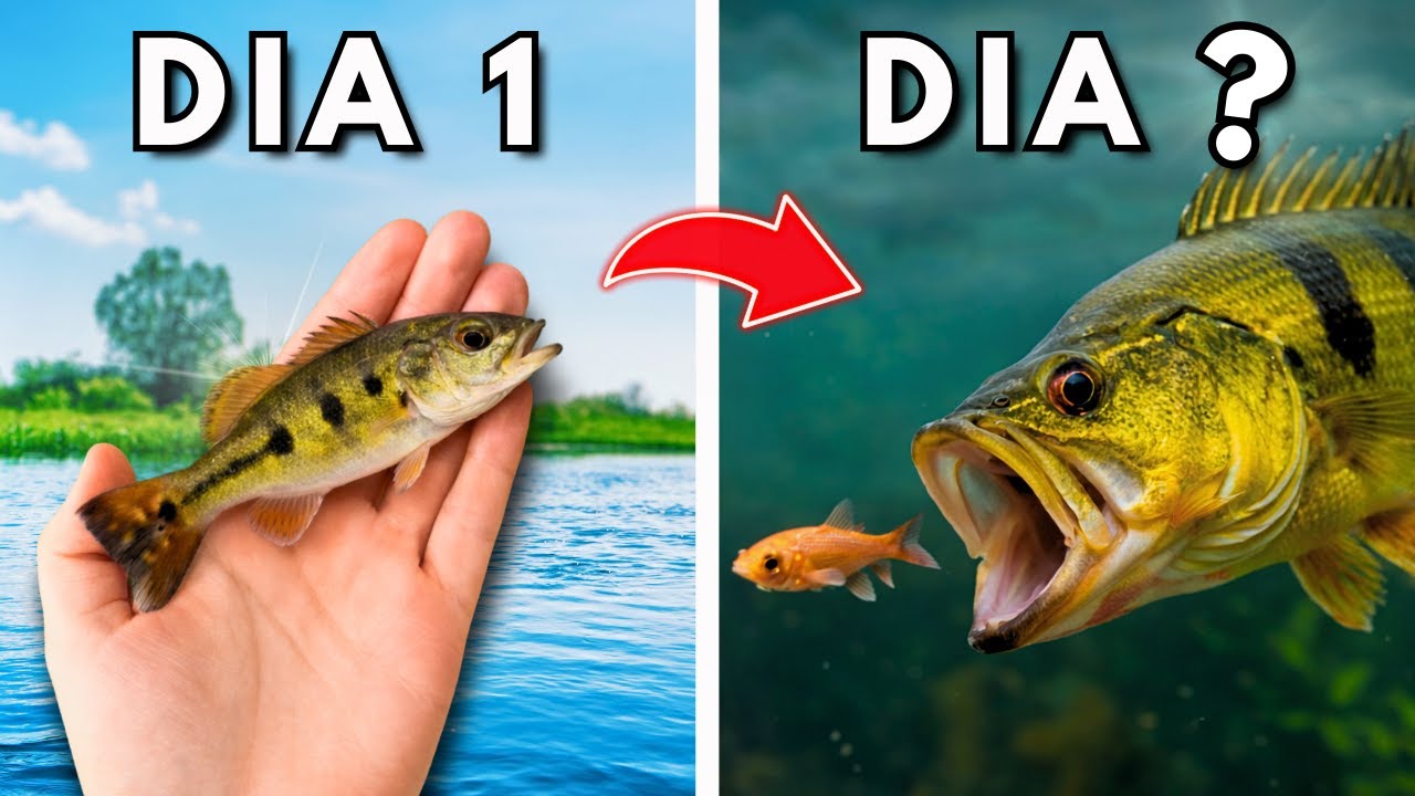 Criei um PREDADOR da Amazônia em CASA (sim, é sério)