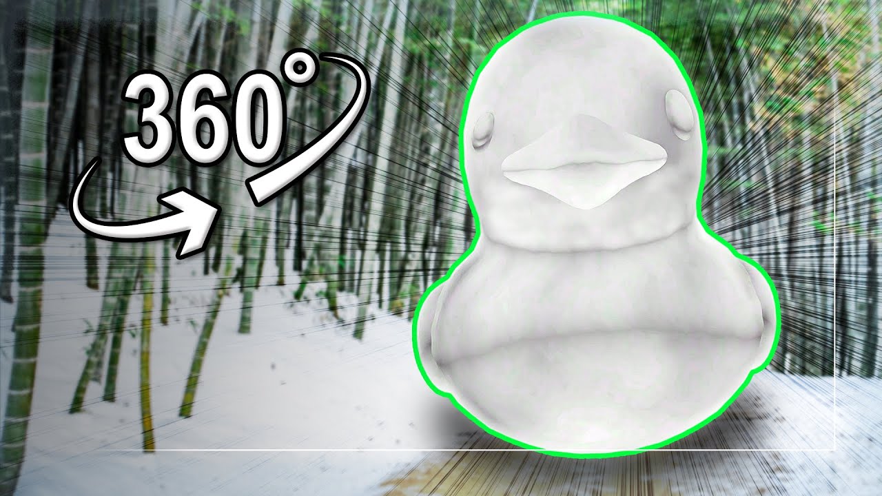 run away from a big snow duck | VR 360&deg;