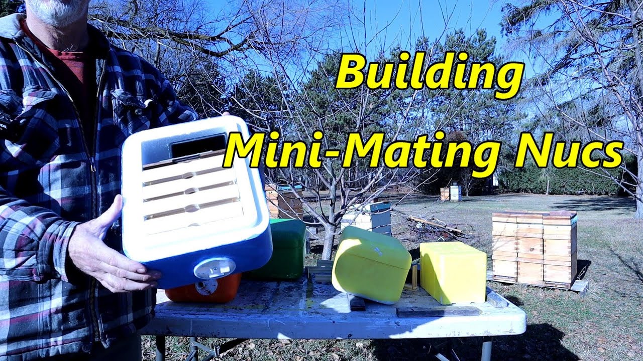 ✅ Building  Mini Mating Nucs -  Part I