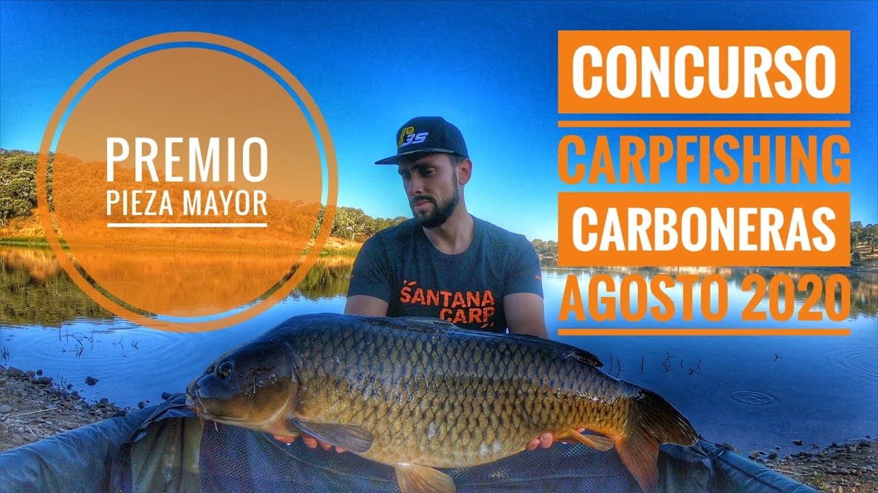 Concurso Carpfishing Carboneras Agosto 2020 (4k)