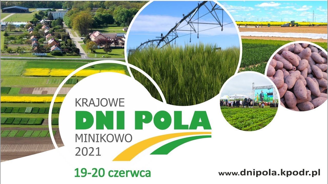 Krajowe Dni Pola Minikowo 2021 w obiektywie