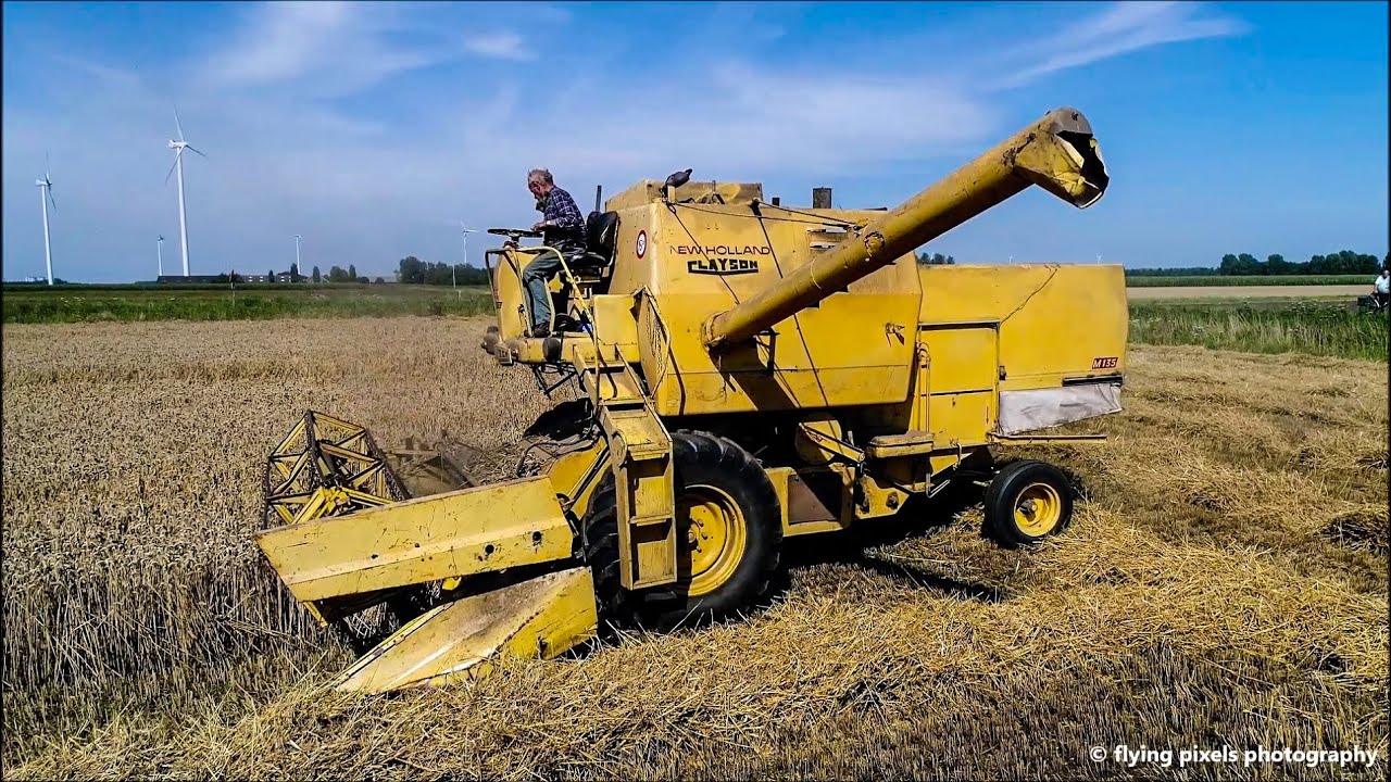 Clayson M135 | New Holland  | Tarwe dorsen | Threshing wheat | Weizen dreschen | Graanoogst