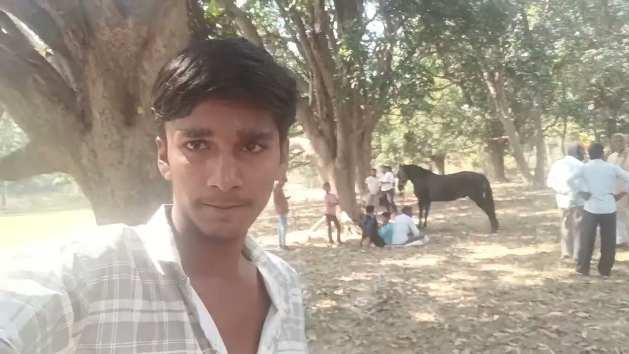 गांव में घोडा कि रेस # गाँव का मेला #comedy #reel vishaljatav715 