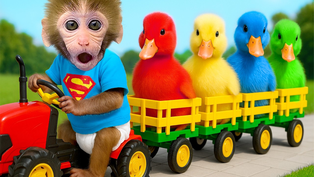 BonBon小猴用拖车把可爱的小鸭们带回神奇的庄园