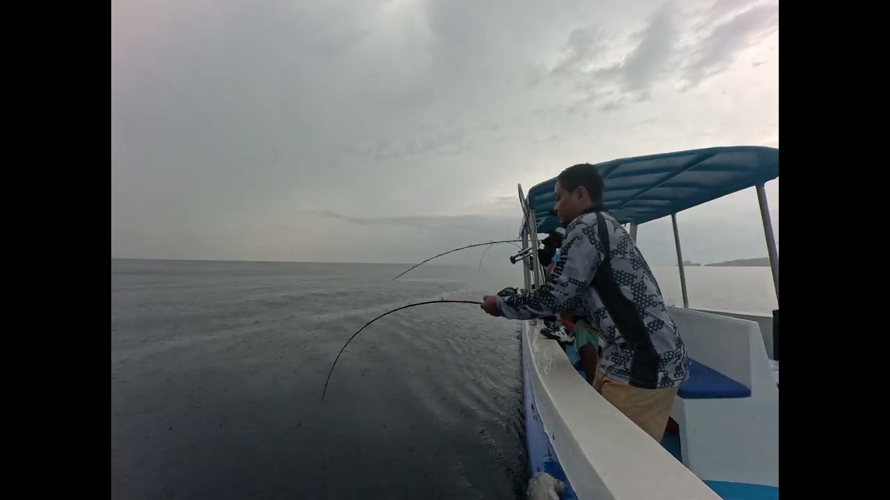 Strike ikan kesayangan merah merona