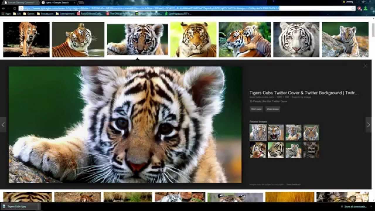 How to upload and post an image to forums