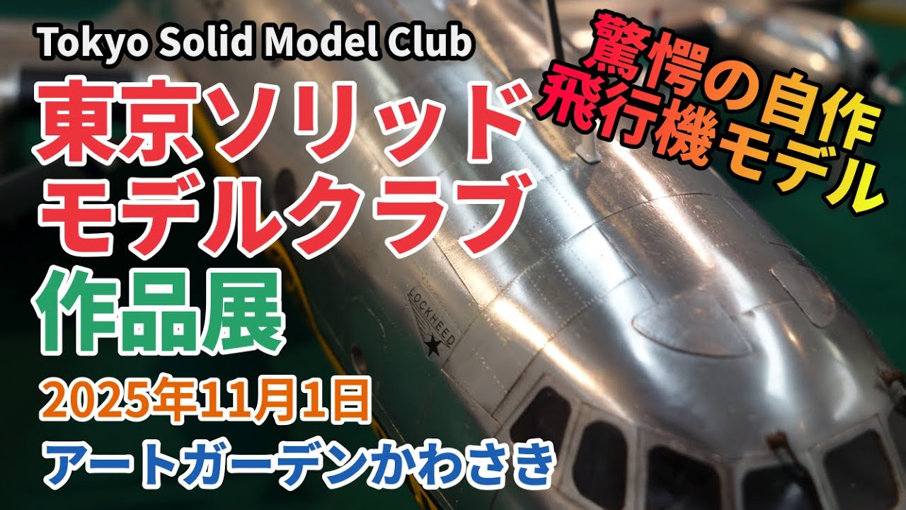 自作飛行機モデル展示会  東京ソリッドモデルクラブ 2025