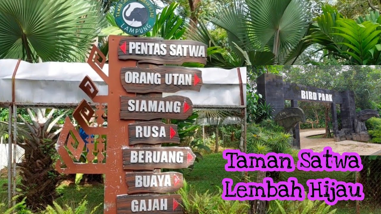 LEMBAH HIJAU LAMPUNG | Taman Satwa Lembah Hijau Lampung 2022❗ | #vlog