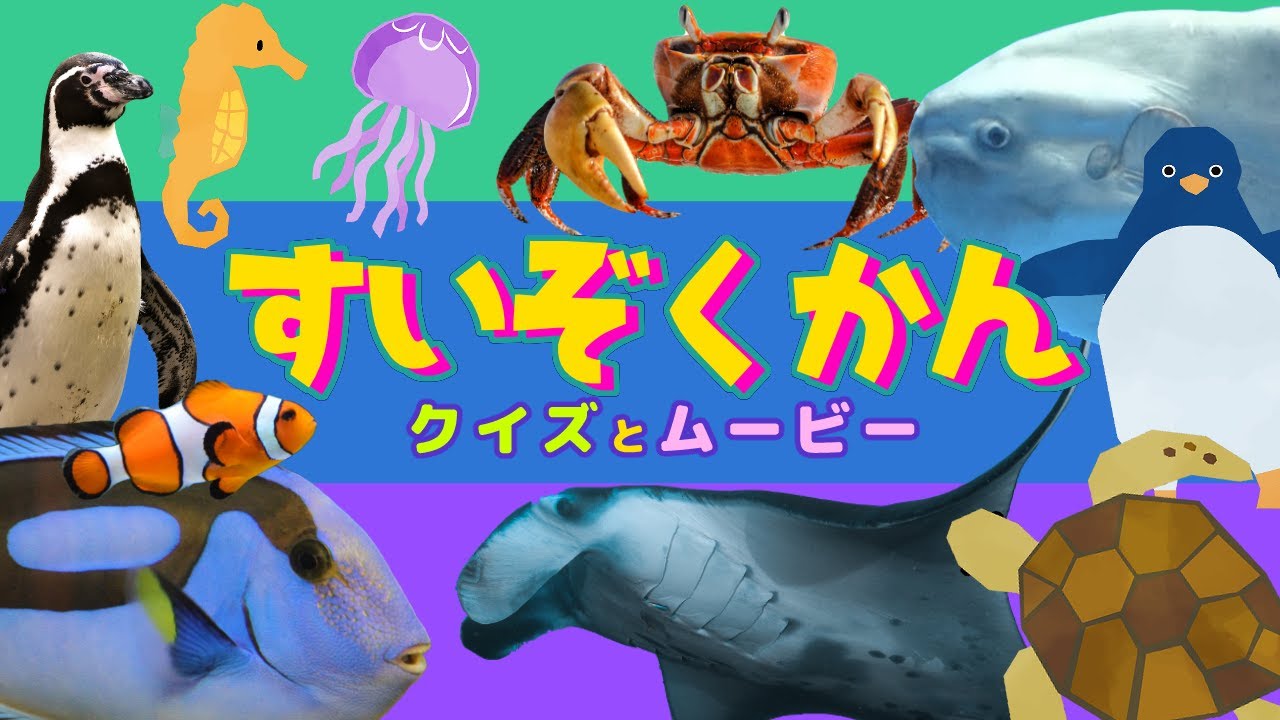 【すいぞくかん あそびにいこう！】海の生き物のシルエットクイズとムービーがいっぱいの１１分！