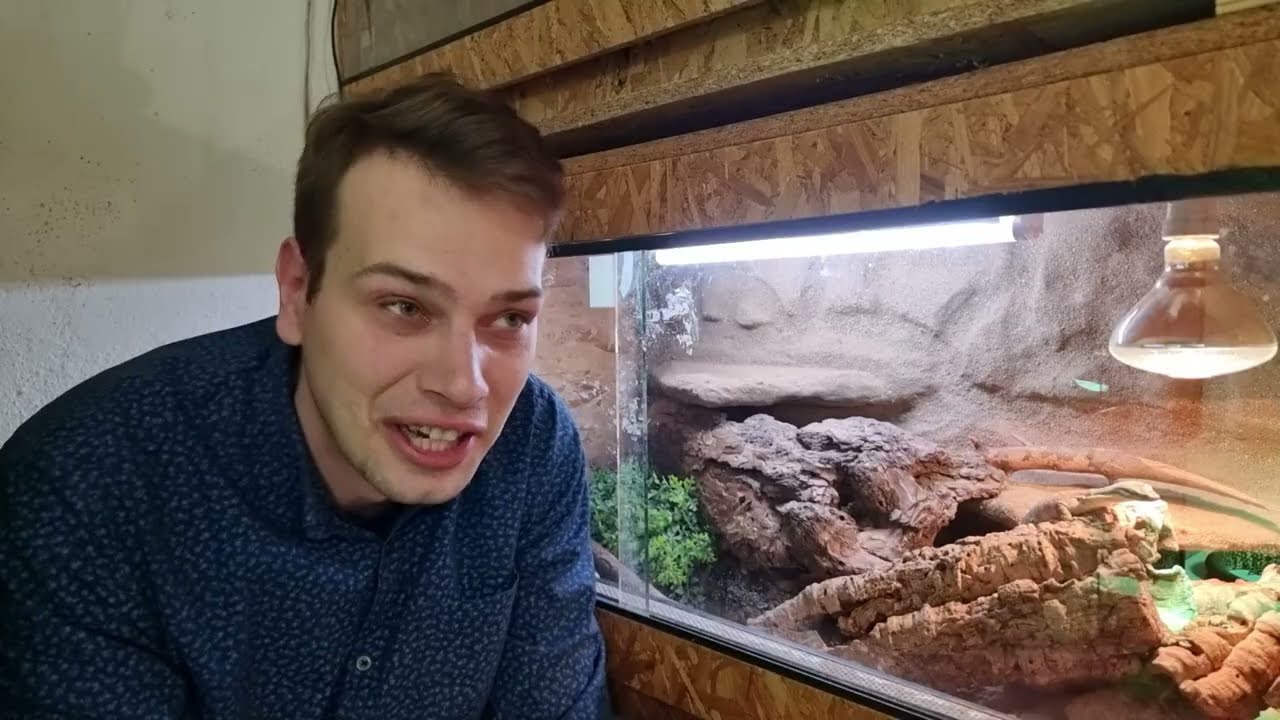 Novoroční povídání o Varanech Glauerti.