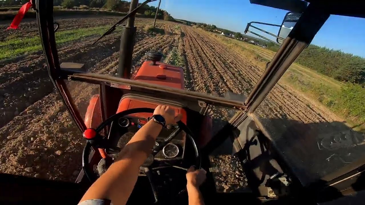 VLOG #14 | Ostatnia praca polowa w 2023🚜 Kultywatorowanie po siewie poplonu. U-R-S-U-S ENGINE SOUND🔥