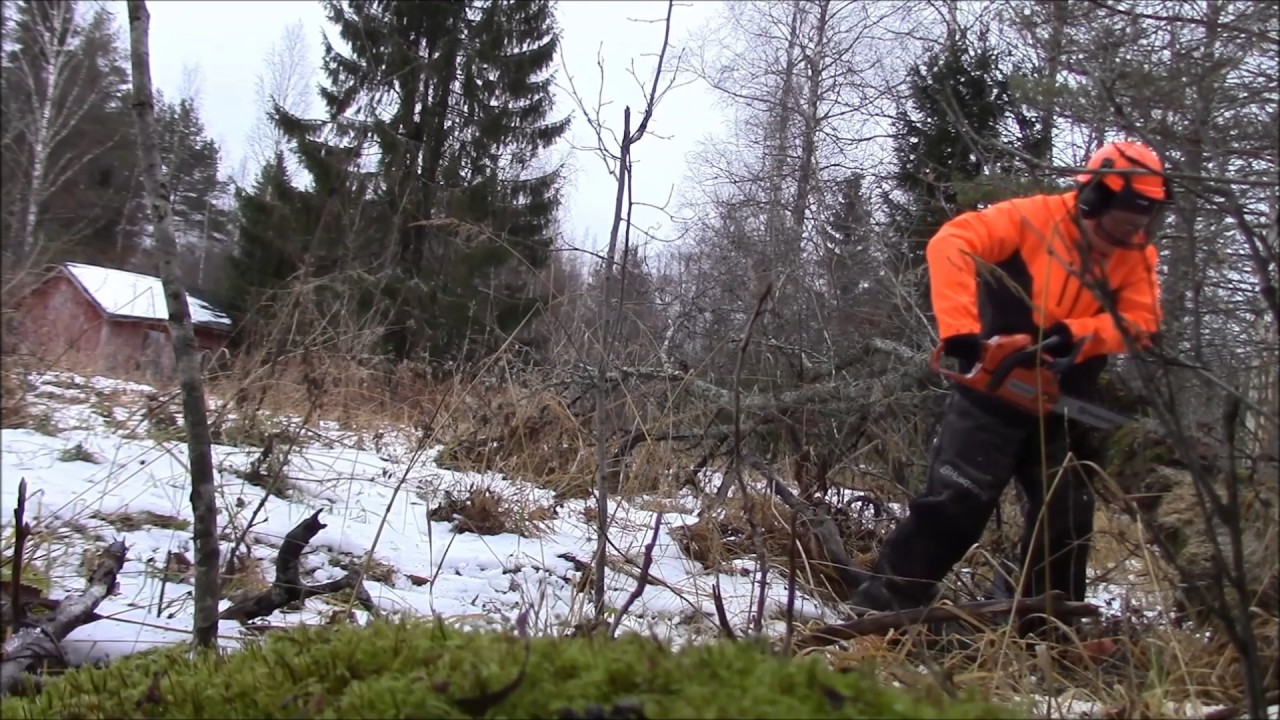 KOVAN ÄÄNEN VAROITUS: Moottorisahavideo marraskuulta 2016