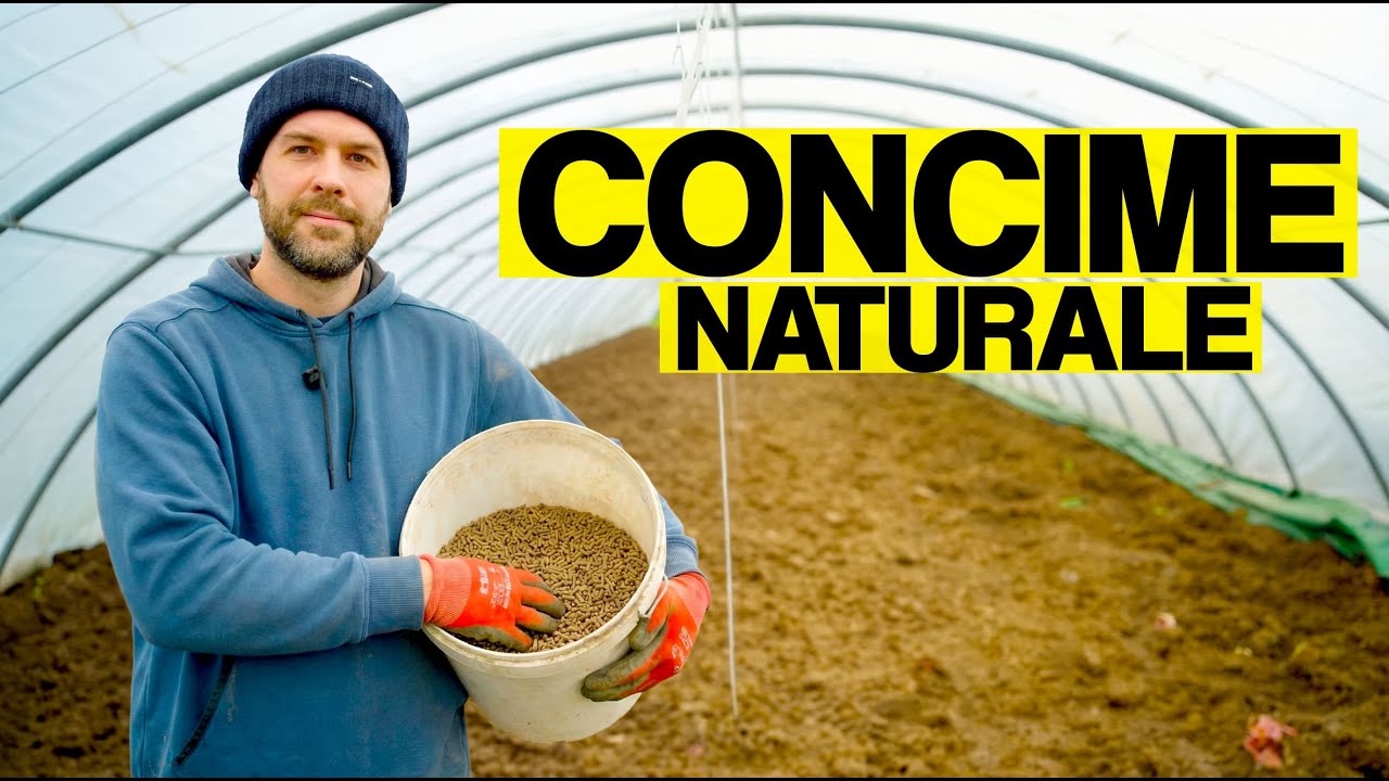 RICETTA per fare un CONCIME NATURA PROFESSIONALE: formula esatta