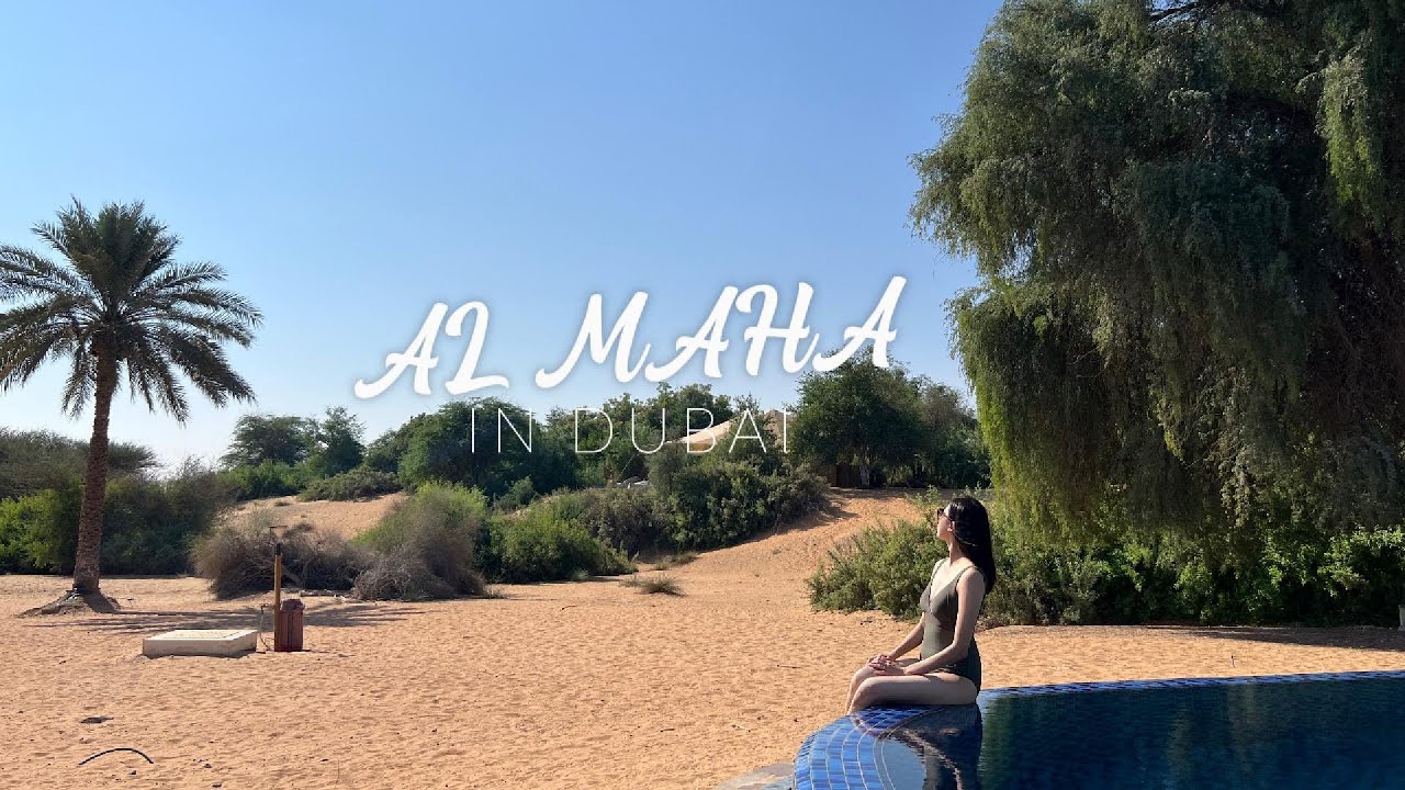 2024 Nov. Al Maha Desert Resort Dubai Hotel 杜拜阿瑪哈豪華精選沙漠水療度假酒店 沙漠羚羊酒店 兩天一夜 落日騎駱駝 野生動植物巡禮