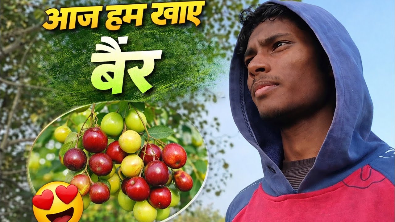 आज हमने खाए बहुत सारे बेर #minivlog #shortvideo #trending #shortvideoformat #raatke1bajekiyakh