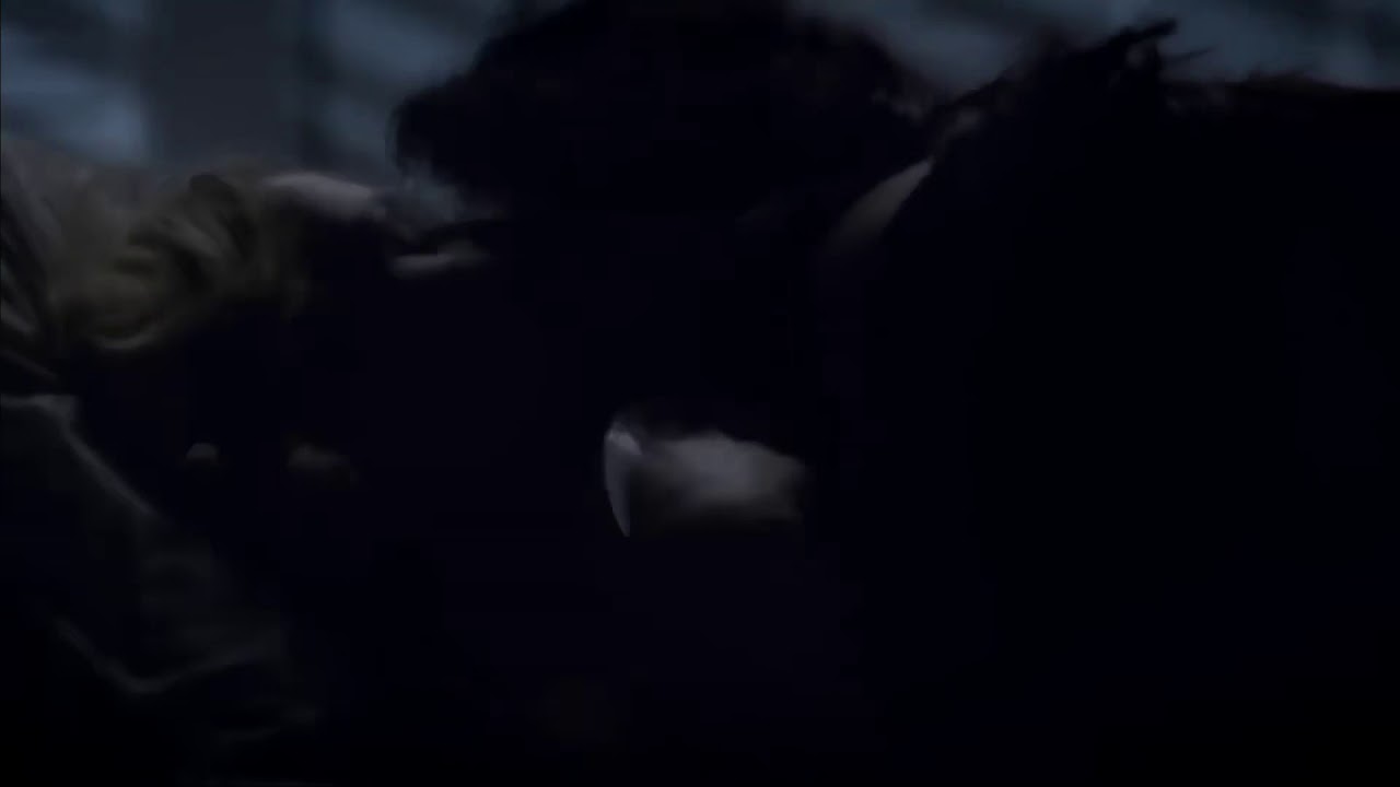 Calzona Kiss without Musik