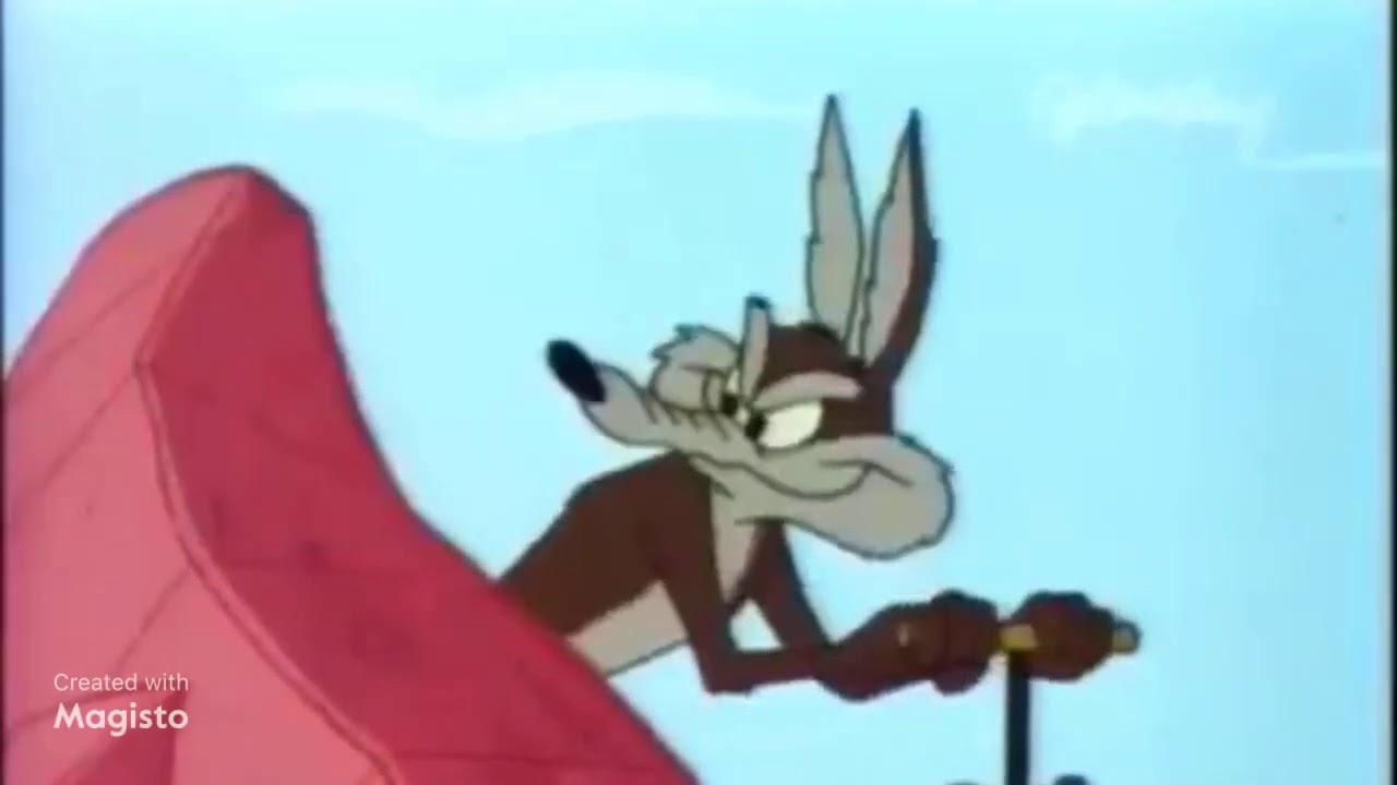 Wile E. Coyote and The Road Runner: Chaser On The Rocks