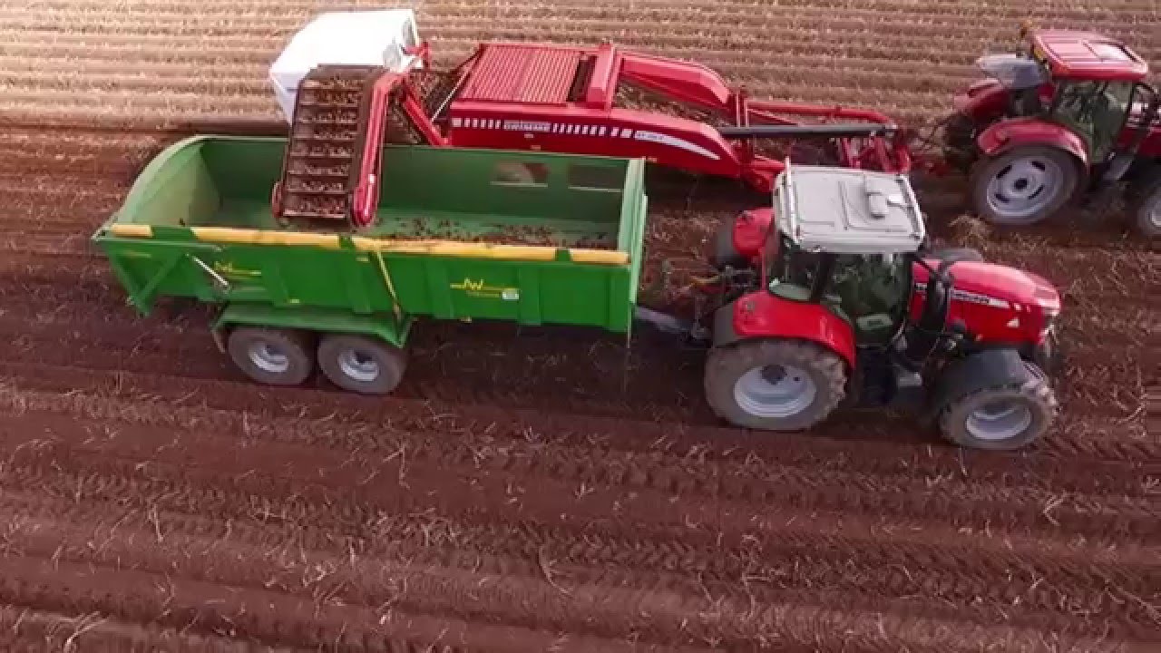 A Local Pembrokeshire Potato Farm