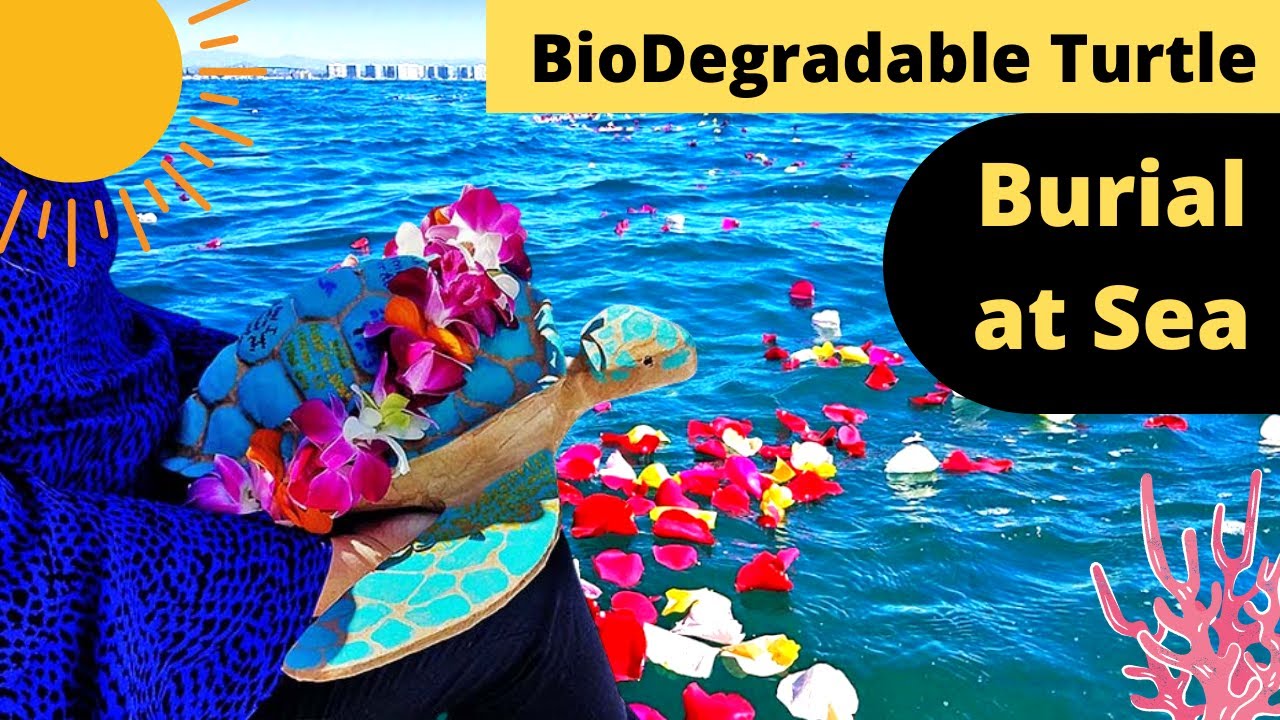 Biodegradable Turtle for Scattering at Sea