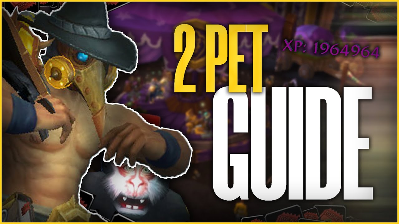 How to Beat JEREMY FEASEL with 2 PETS | Darkmoon Faire Guide