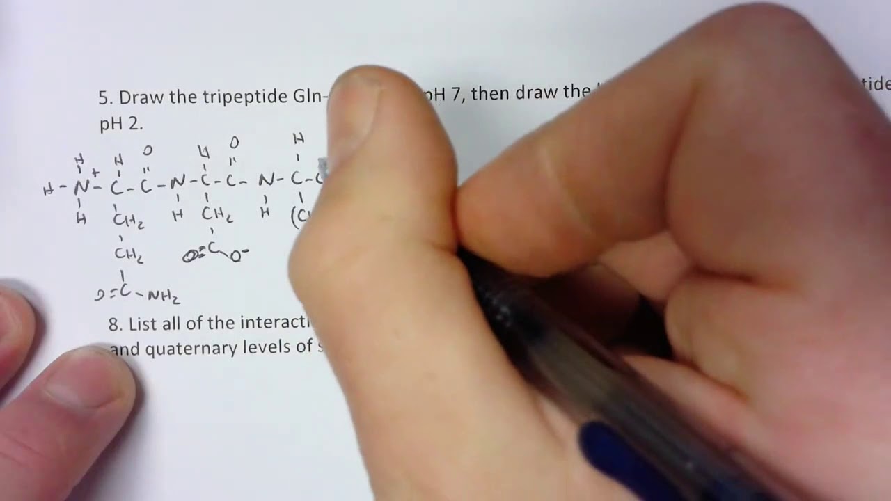 Unit 7 WS video