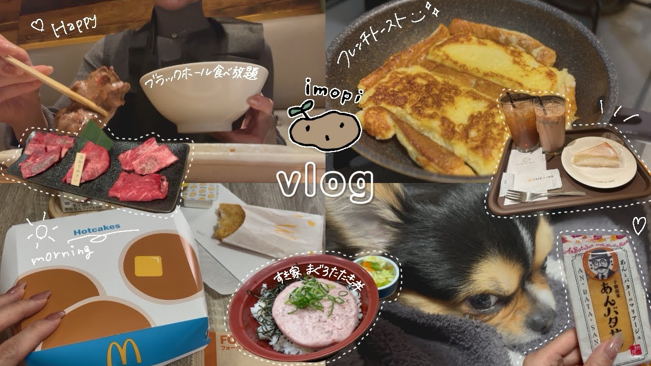 【vlog】焼肉を食べても消えない悩みは抱えちゃダメだって誰かが言ってたような｜日常・平凡・めまぐるしい変化・花粉症・近況について