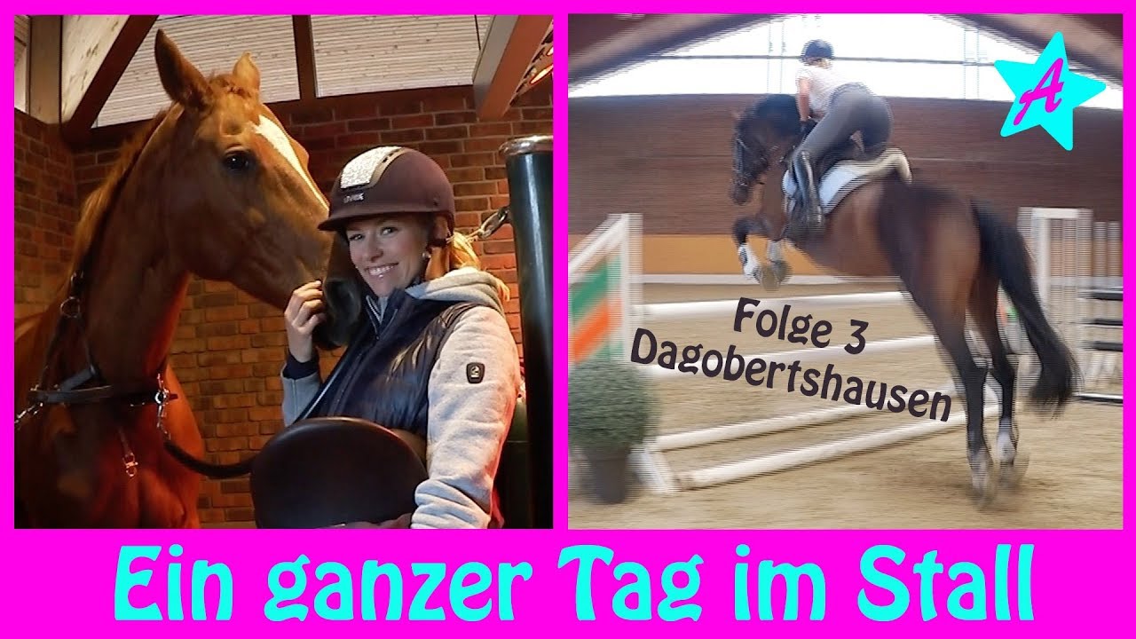TRAINING & GLÜCKSTRÄNEN I Ein Tag mit Wölbchen & Canto I Emotionales FMA Dagobertshausen #3