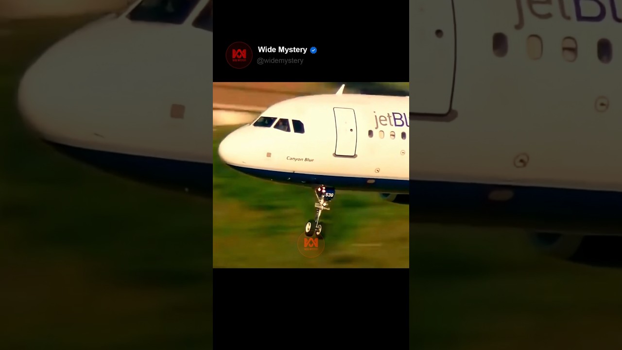 Hero Pilot Saves 140 Lives | The JetBlue Flight 2005 Emergency Landing