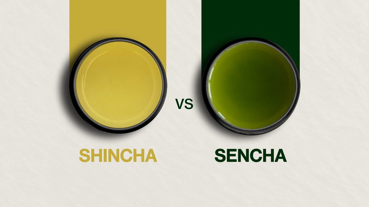 Sencha vs Shincha - Difference Between Shincha vs Sencha Explained