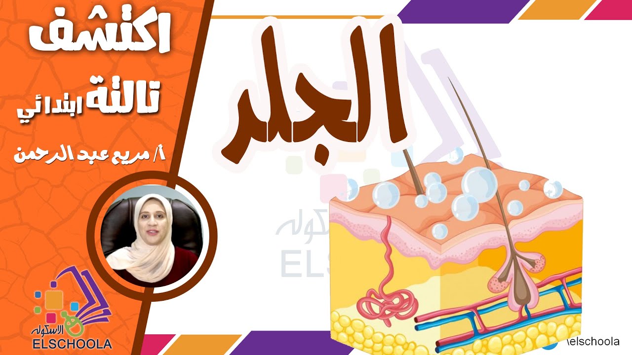 تعالوا نعرف سوا إيه هو الجلد | اكتشف تالتة ابتدائي | الاسكوله