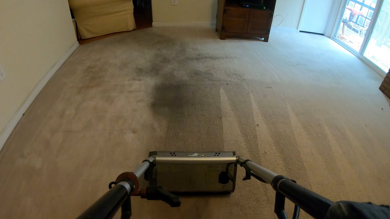 This carpet made me FAMOUS! Heavily soiled living room carpet cleaning #2
