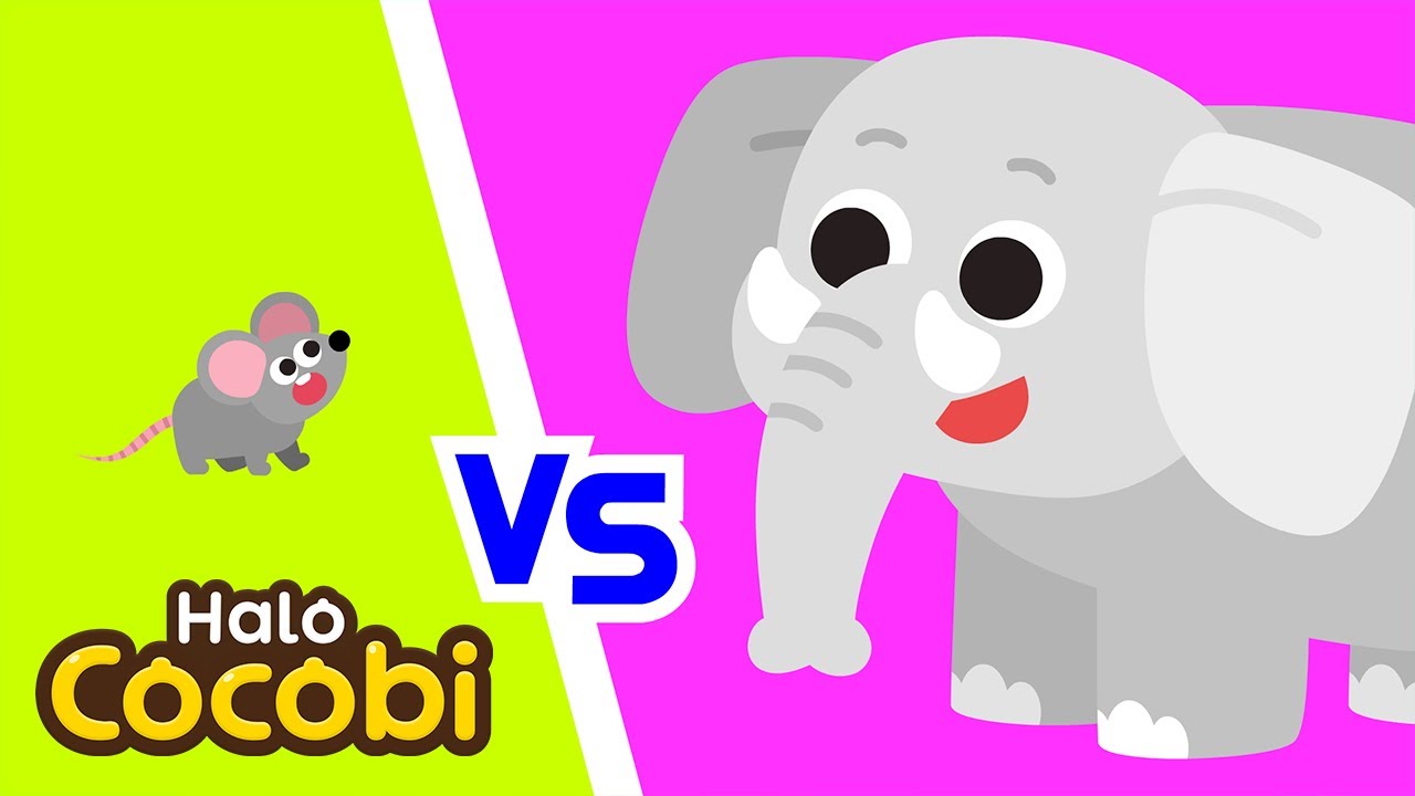 Gajah dan Tikus | Lagu Lawan Kata | Kids Songs | Halo Cocobi Bahasa Indonesia