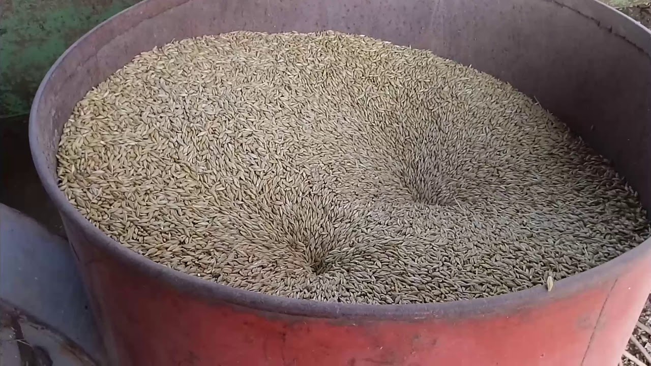Homemade Grain Blower / Pneumatic grain blower.