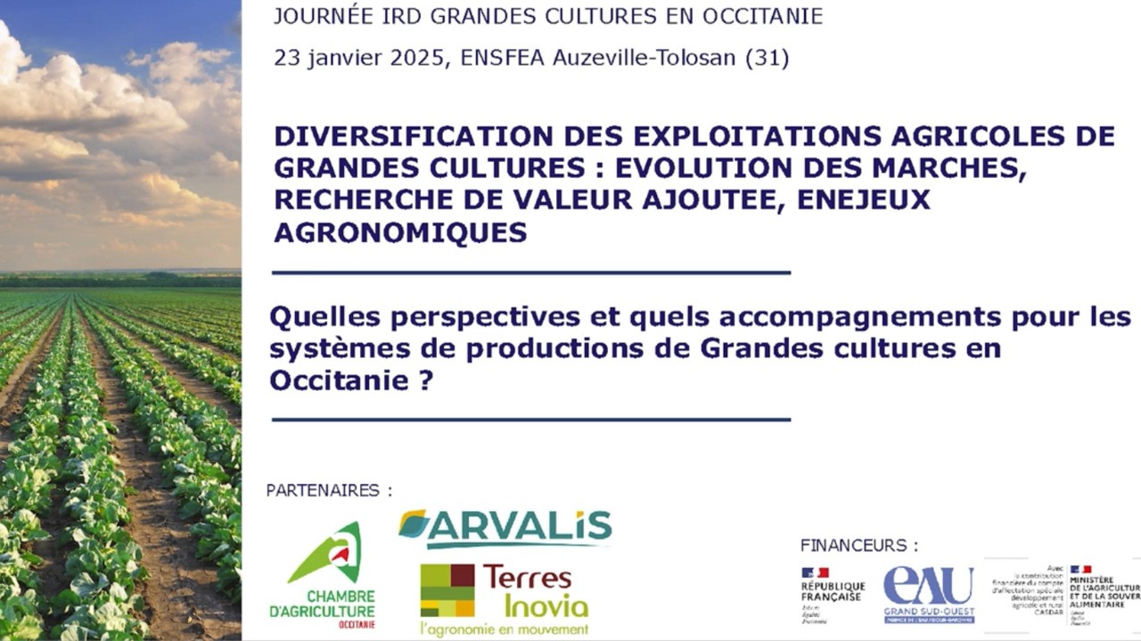 Journée IRD grandes cultures 23 janvier 2025