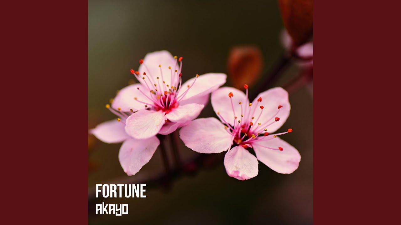 Fortune