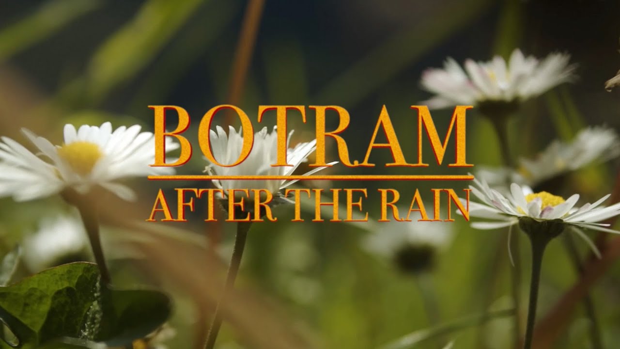 Botram - After The Rain