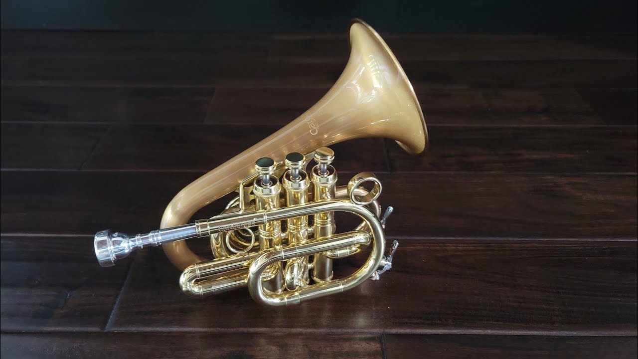 CarolBrass® CPT-7370-RLM(D)-SLB Custom Dizzy Pocket Demo