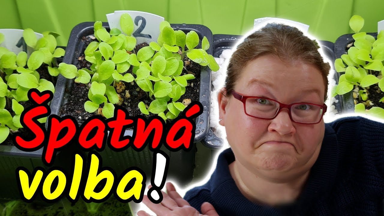 🛑🌱 VYHNĚTE se tomuto SUBSTRÁTU! Test 4 různých typů, který je špatná volba pro výsevy zeleniny?!