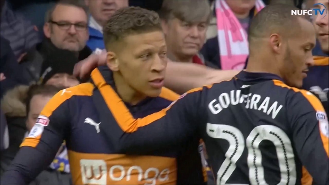 Dwight Gayle ● Goals 2016-2017 │ Newcastle United