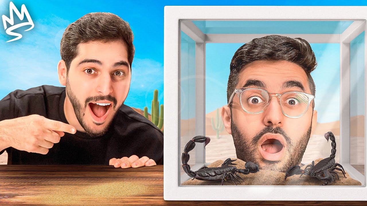 اخر شخص يطلع راسه من الصندوق يفوز في قصر باور !😱 ( عقرب الصحراء ! 🦂 )