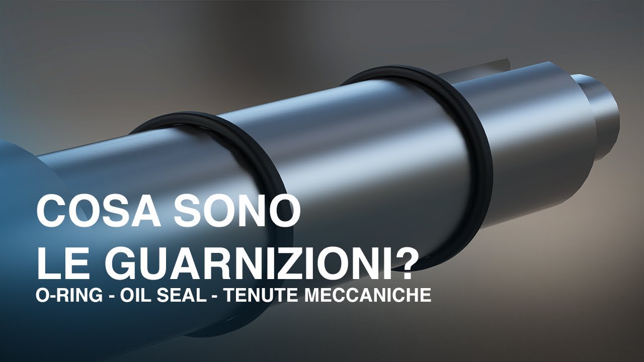 Cosa sono e come funzionano le Guarnizioni - O-ring - Oil Seal - Tenute meccaniche